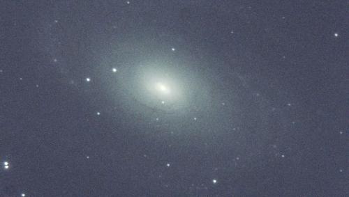 m81